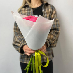 7 коралловых пионов